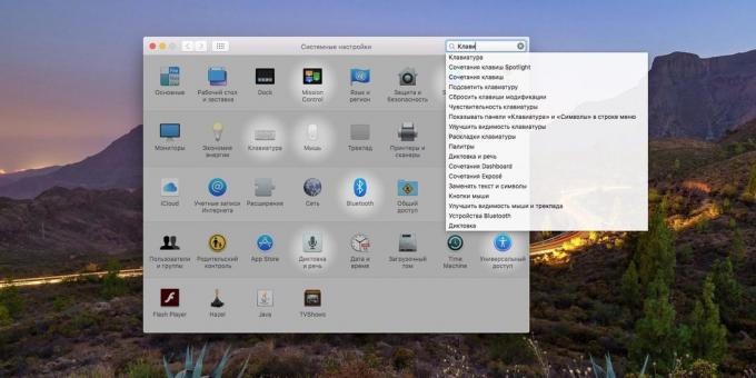 configurações de sistema MacOS: Como usar o campo de pesquisa