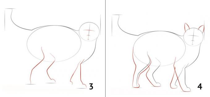 Como desenhar um gato