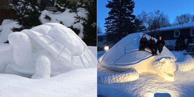 Neve molda de neve: Tartaruga