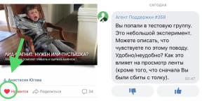 Couros "VKontakte" huskies. Enquanto esta experiência