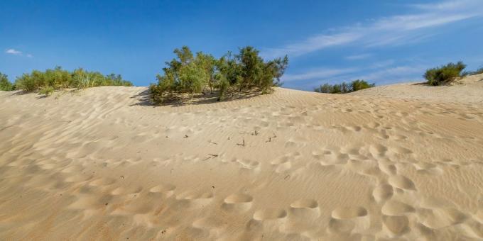 Atrações Anapa: dunas de areia em Dzhemet