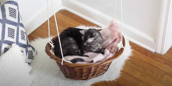 Como fazer uma cama de rede para um gato de uma cesta