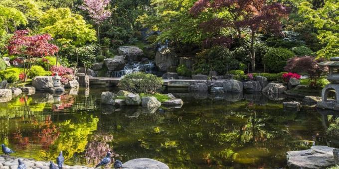 O que ver em Londres: japonês Kyoto Garden em Holland Park