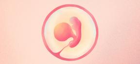 5ª semana de gravidez: o que acontece com o bebê e a mãe - Lifehacker
