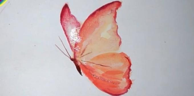 Como desenhar um cores realistas borboleta