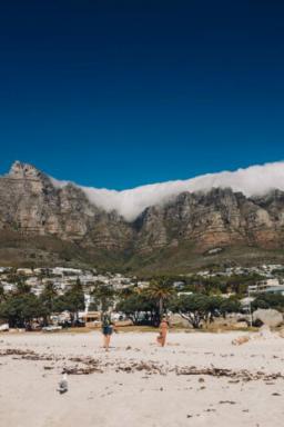 Caminhada com pinguins e degustação de vinhos: o que ver e onde ir na Cidade do Cabo