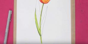 15 maneiras de desenhar lindas tulipas