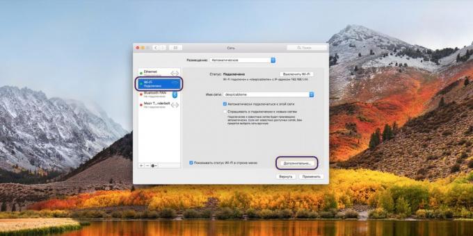 configuração do servidor DNS no MacOS