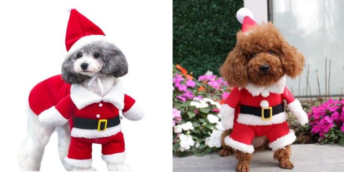 Costumes de Natal para cães woofing de Santa