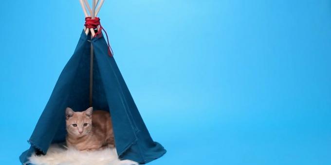 Como fazer uma casa-tenda para um gato dos trilhos e o tecido com suas mãos