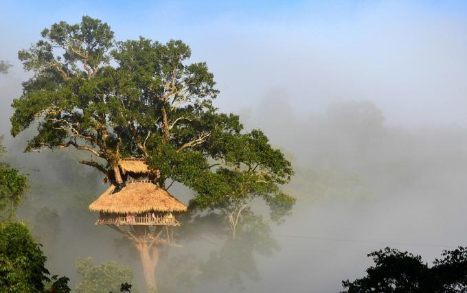 Reserva Natural Bokeo, Laos