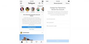 Instagram começou removendo huskies falsos e assinaturas