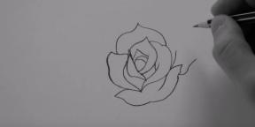 Como desenhar uma rosa de 20 maneiras diferentes