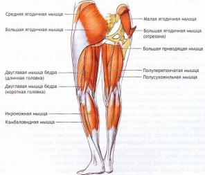 Equilíbrio Física em yoga. Parte 2: The Power