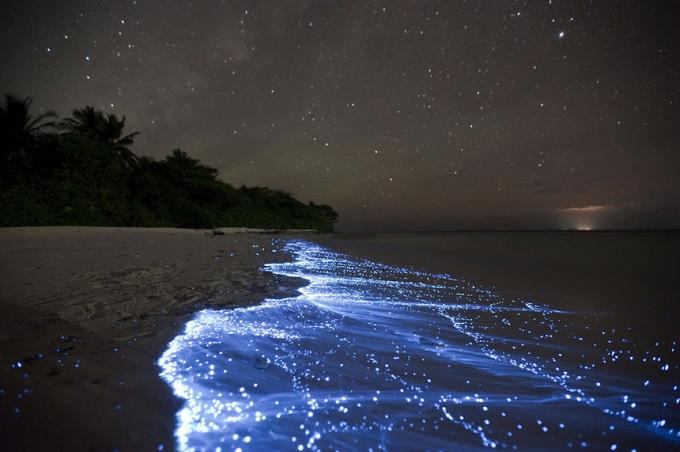 Bioluminescente Beach - Vaadhoo, Maldivas melhores praias