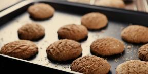 6 melhores receitas de biscoitos de aveia