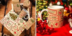 O que colocar debaixo da árvore: 20 idéias geniais Presentes de Natal