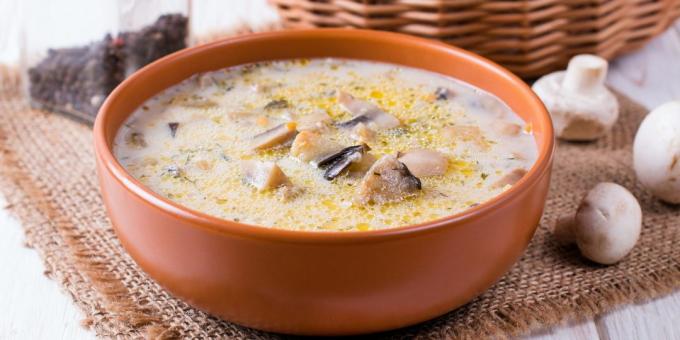 Sopa de abobrinha com cogumelos e queijo derretido