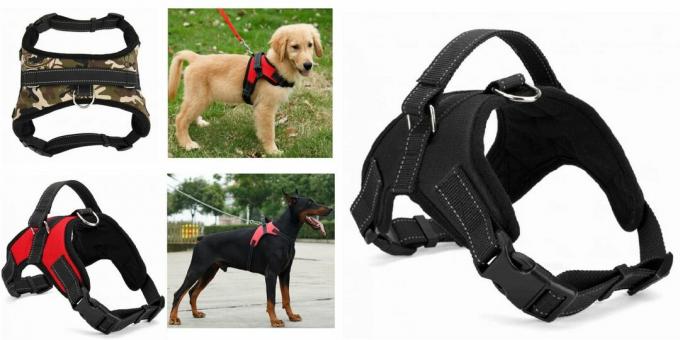 Produtos para levar o cachorro para passear: arreios