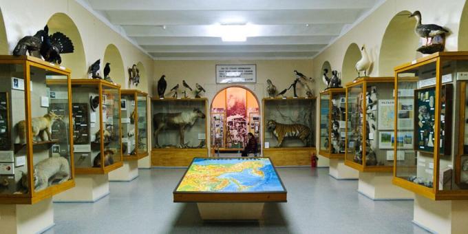 Museu Regional de Conhecimento Local de Saratov