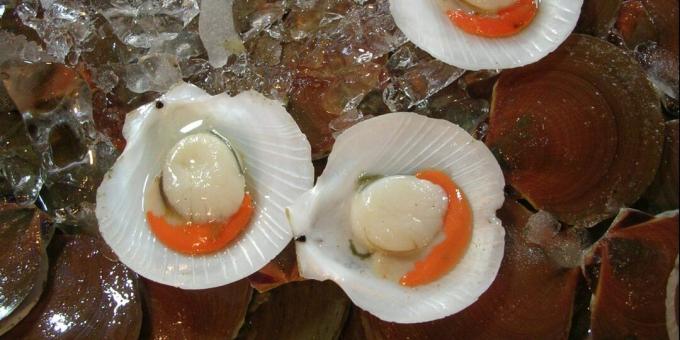 Alimentos que contêm ferro: ostras, mexilhões e outros mariscos