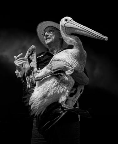 Proprietário Pelican por Tony Lowe