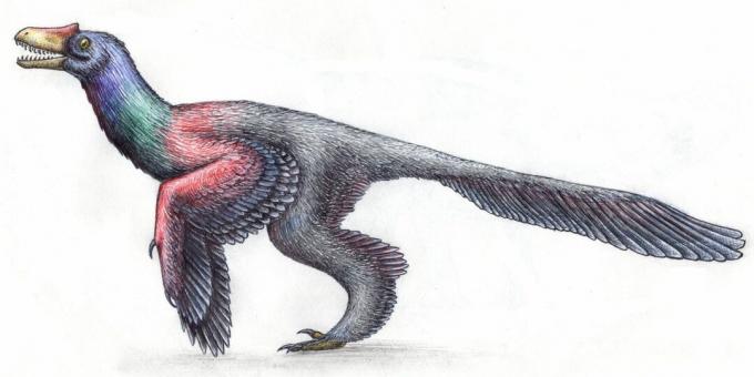 Mitos antigos: os dinossauros pareciam répteis