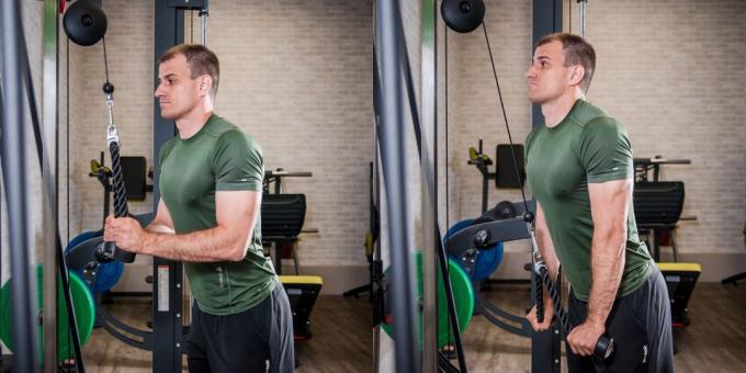 O treinamento programa: tríceps braços de extensão