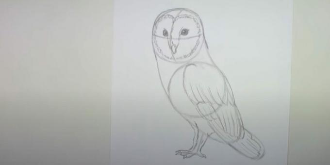 Como desenhar uma coruja: desenhe a segunda pata e contorne a asa