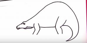 30 maneiras de desenhar diferentes dinossauros