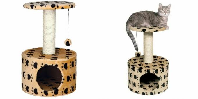 Casas para gatos: com um brinquedo e um poste para arranhar