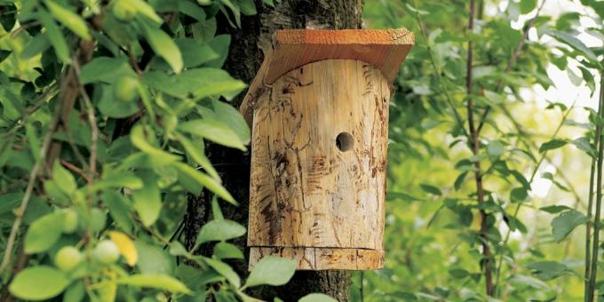 Birdhouse com as mãos, você pode fazer fora de toras