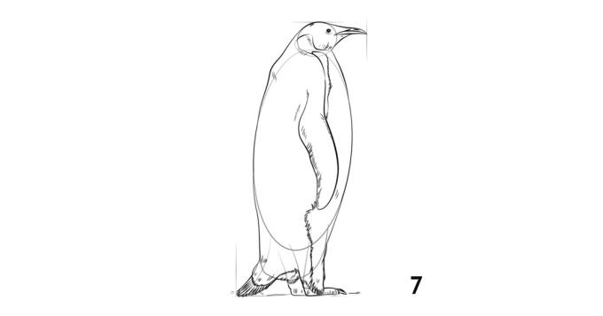 Como desenhar um pinguim