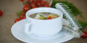 10 receitas para sopa de uma lança, carpa, perca, salmão, e não apenas