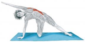 Alongamento Anatomy in Pictures: exercícios para os músculos do corpo