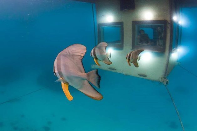 Underwater quarto de hotel The Manta Resort