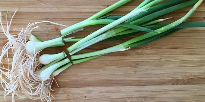 Como a crescer cebolas no peitoril da janela: Crop plantação