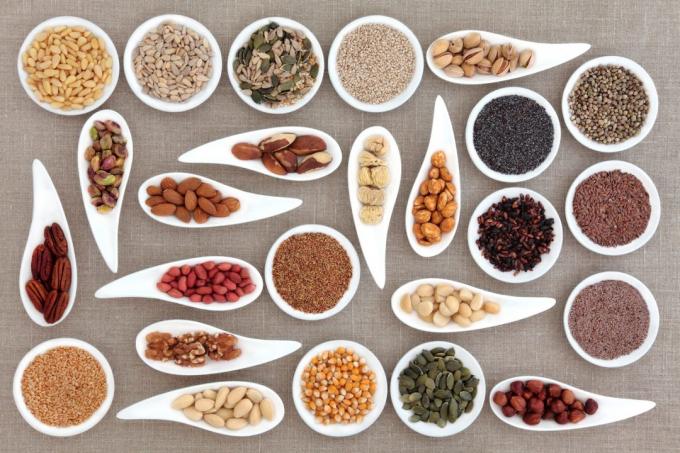 A utilização de sementes e frutos secos para o cérebro