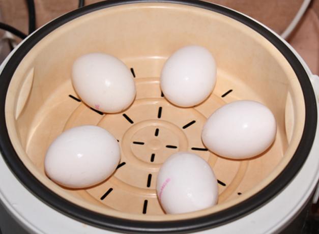 Como cozinhar os ovos em uma caldeira dobro ou multivarka