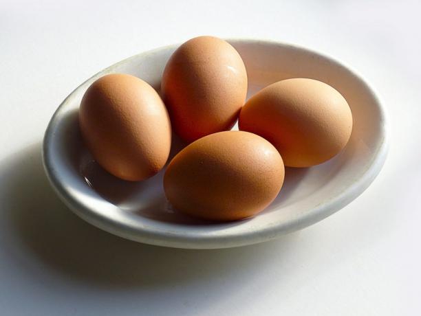 Fontes de proteína: Ovos