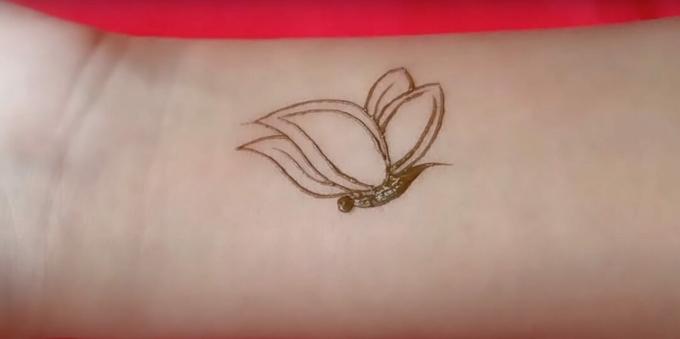 Borboleta de hena desenhando na mão: retrate as asas