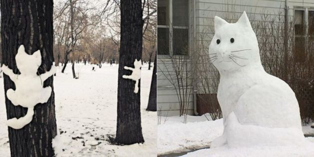 figura neve: Gato