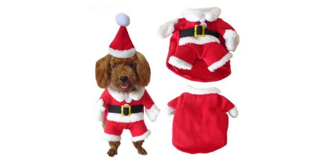 traje festivo para um cão