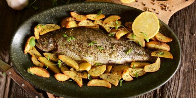 Como fazer o peixe no forno: truta com batata e alho