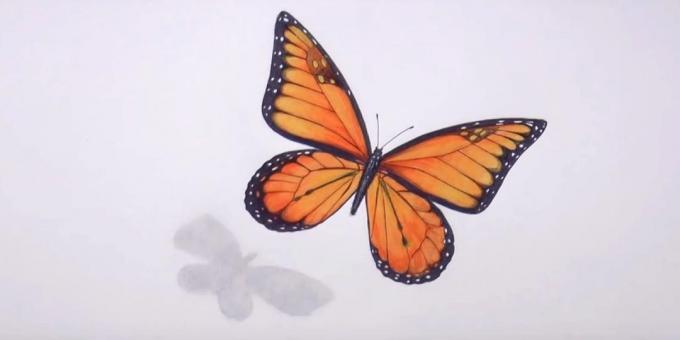 esboços a lápis apagar e cor preta padrão de ajuste borboleta