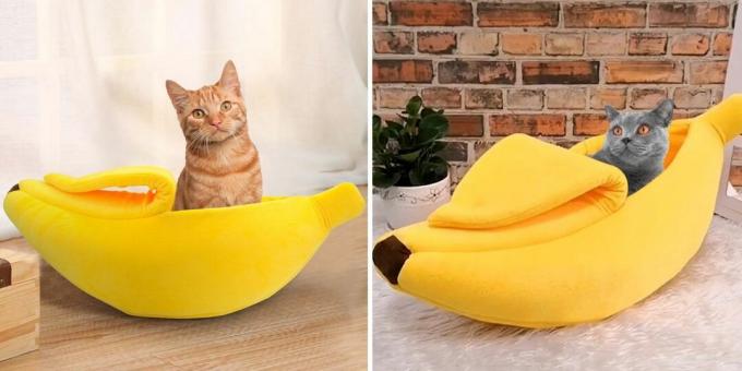 Casa em forma de banana