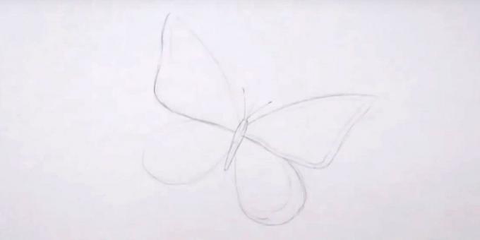 Desenhar o corpo, antenas e asas desenhar uma borda