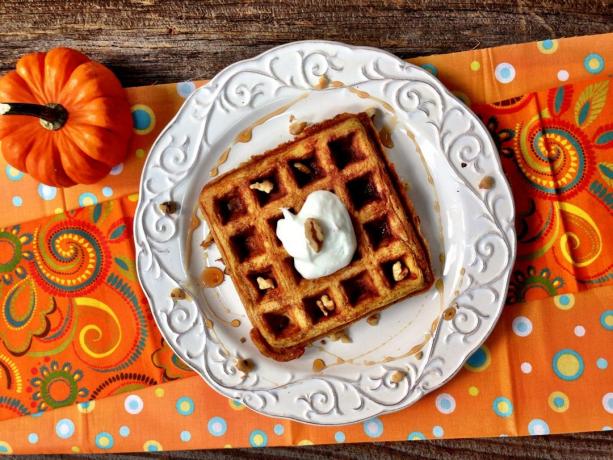 receitas de outono: Pumpkin waffles com chocolate