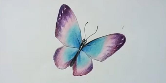 Adicionar asas de borboleta roxo de cores mais saturadas
