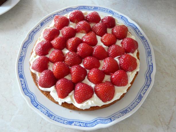 Uma receita simples para o bolo de esponja: Como construir e decorar a sobremesa